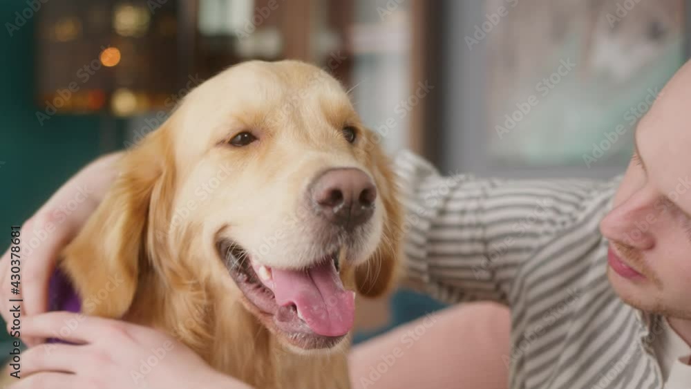 Positive man combing and stroking his golden retriever dog at home, happy student live with his pet, cozy home living room. Concept friendship and best friends. Positive man combing and stroking his golden retriever dog at home, happy student live with his pet, cozy home living room. Concept friendship and best friends.
