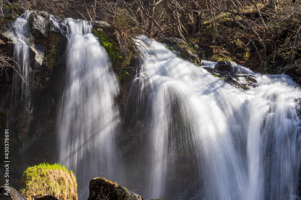Fototapeta premium waterfall in the forest
