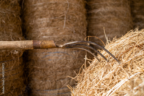 Close up view of pitchfork tool stabbed in hay at the farm.