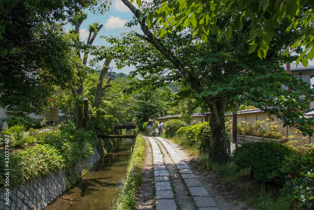 京都・疏水分線と哲学の道