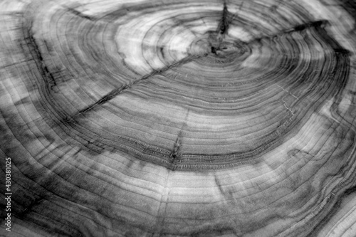 Wooden board texture with blur effect in black and white.