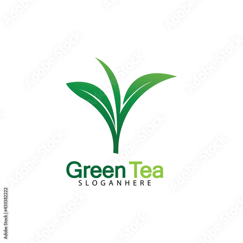 Green tea leaf logo vector icon illustration design isolated on white background-vector image