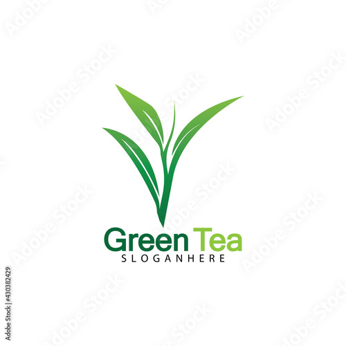 Green tea leaf logo vector icon illustration design isolated on white background-vector image