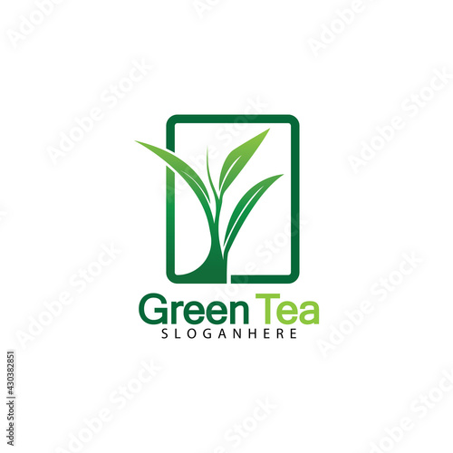 Green tea leaf logo vector icon illustration design isolated on white background-vector image