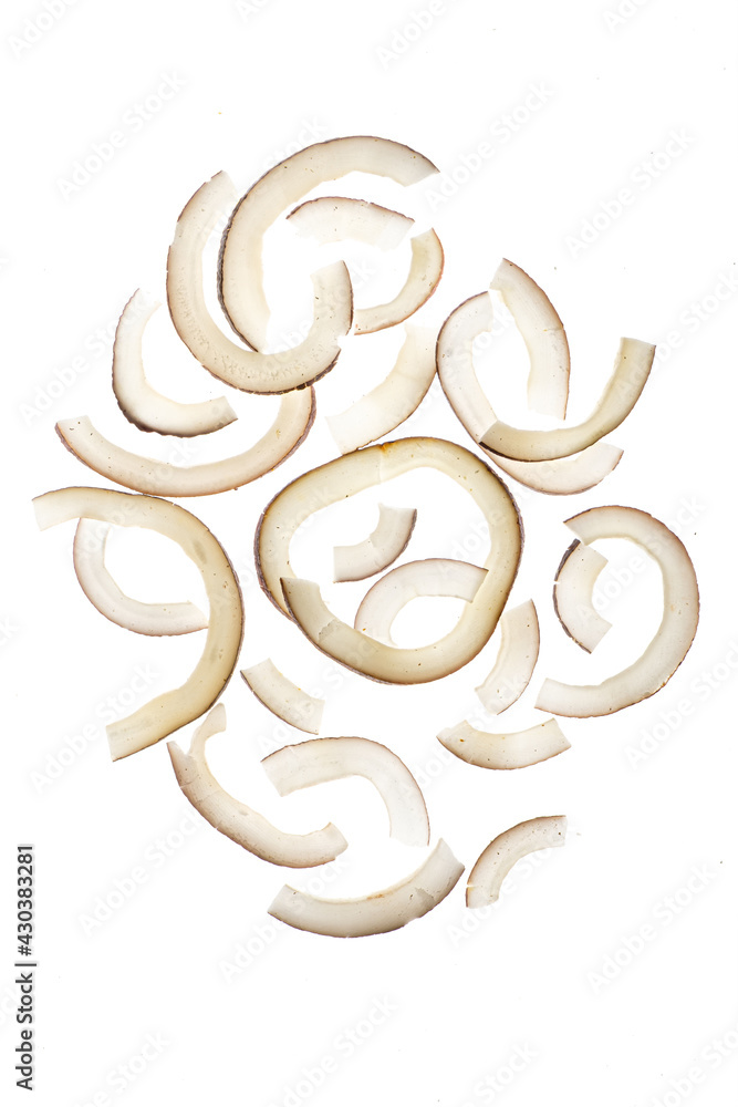 dried coconut on the white background dried coconut on the white background