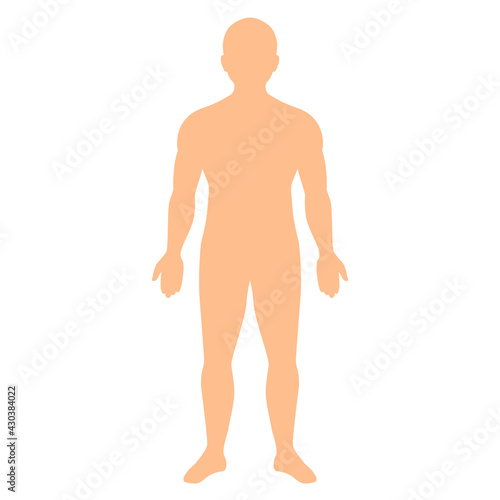 Human body vector silhouette