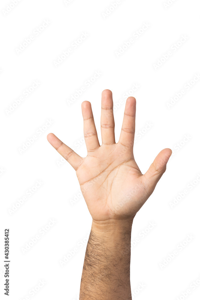 Hand raised up to the air isolated white background. Raise your hand to vote for the majority of votes Election of the leader of the country. With clipping path. Hand raised up to the air isolated white background. Raise your hand to vote for the majority of votes Election of the leader of the country. With clipping path.