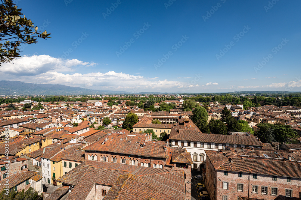 Aerial view of the small and medieval town of Lucca, from the ancient Guinigi Tower, XIV century, Tuscany, Italy, Europe.
