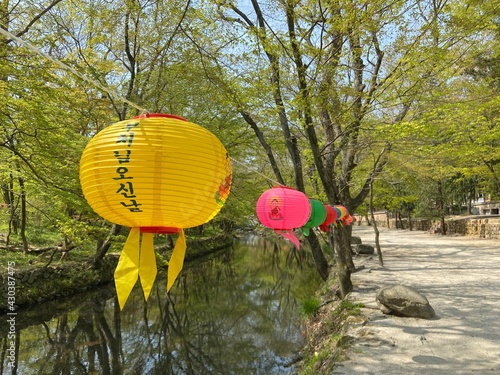 부처님 오신남(Buddah's birthday in Korea) photo