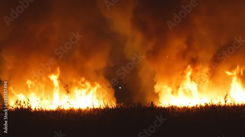 Flames from a dry grass fire at night. Night fire in the field