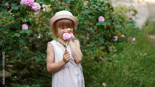 A child near flowers rubs his eyes and nose, sneezes - an allergy attack. Seasonal Bloom Allergy. Little beautiful cute blonde girl in a gentle pink dress and hat  the bushes of a rose hip tea rose   