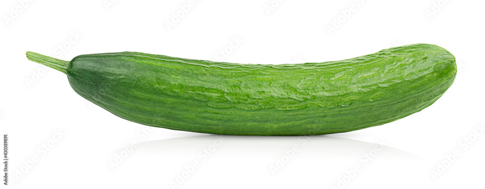 one cucumber lies lengthwise on a white isolated background one cucumber lies lengthwise on a white isolated background