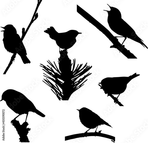 Leaf Warbler and Kinglet Bird Silhouette Illustrations