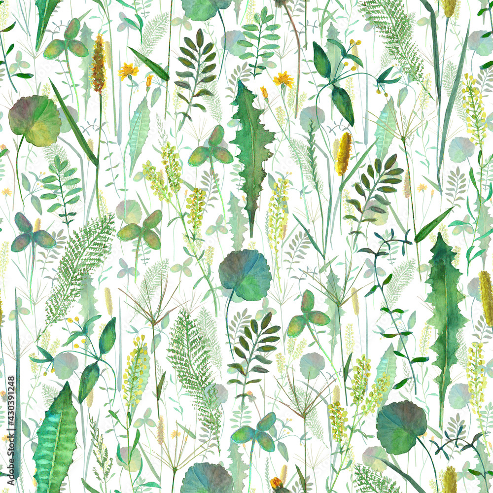 Seamless pattern with wild flowers, herbs, grasses. Watercolor hand drawn botanical illustration