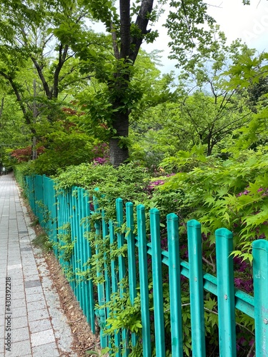 wooden bridge in the park