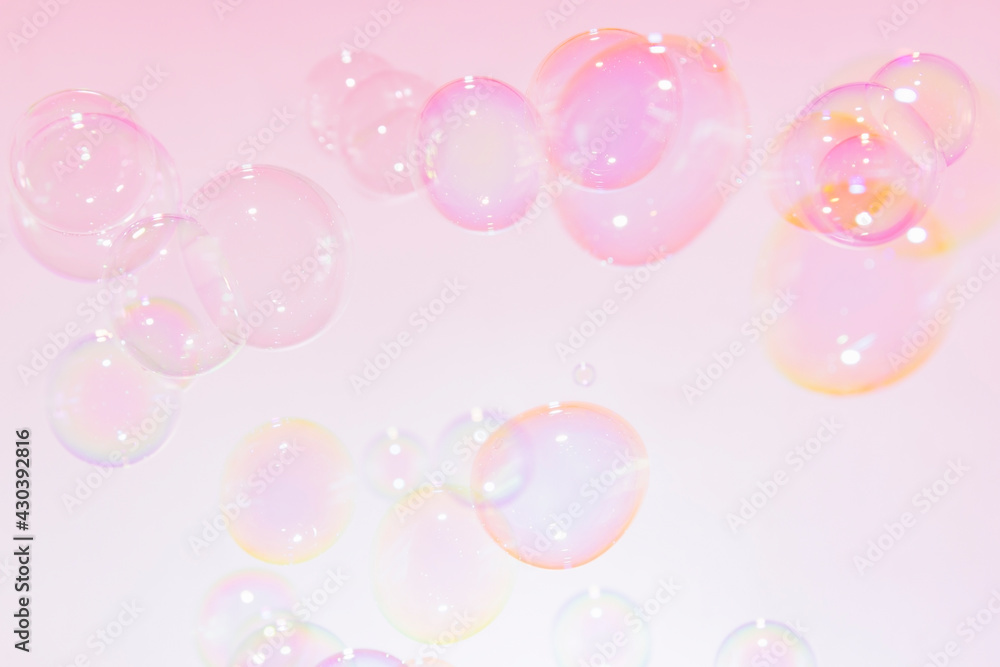 Beautiful Transparent Pink soap Bubbles Float Background.