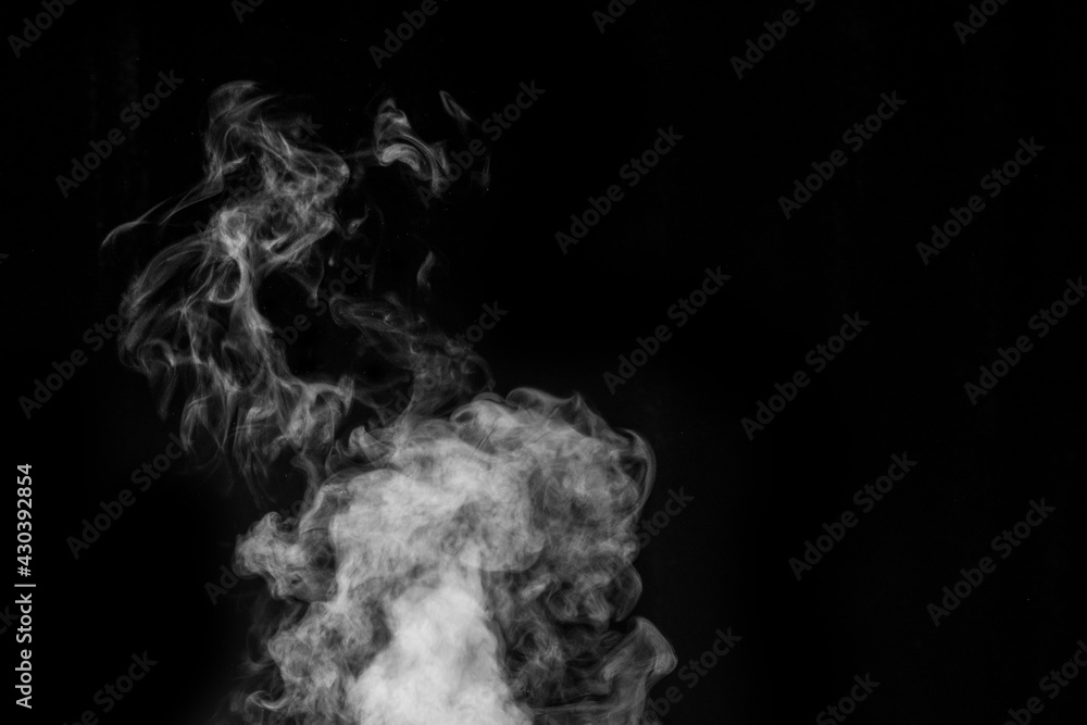 Figured smoke in the form of a mystical creature in the form of a ghost on a dark background. Abstract background, design element, for overlay on pictures Figured smoke in the form of a mystical creature in the form of a ghost on a dark background. Abstract background, design element, for overlay on pictures