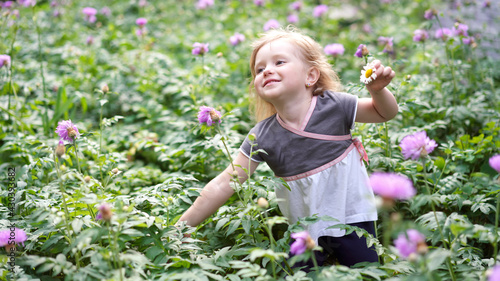  Beautiful cute little girl blonde two years old on the field in the garden in purple flowers. The child runs, jumps, has fun, grimaces in nature                                