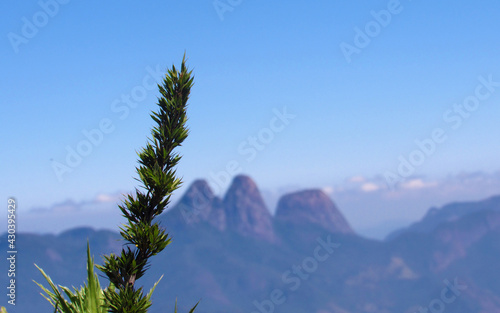 Pico do Caledônia