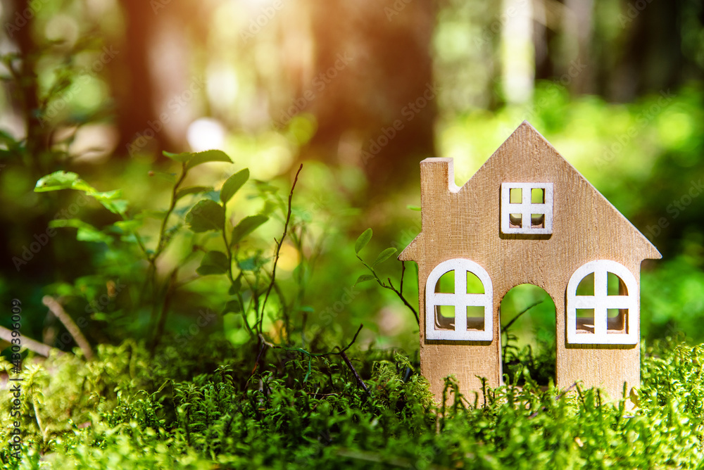 the symbol of the house stands on green moss
the symbol of the house stands on green moss