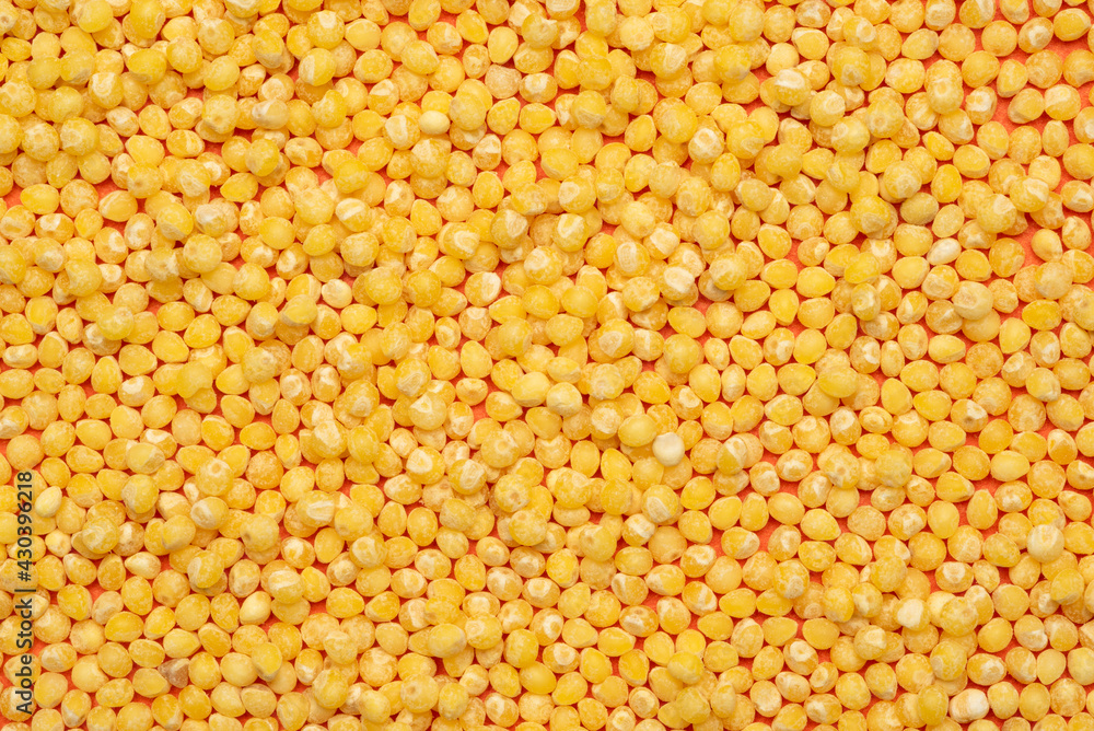 scattered millet on an orange background. abstract spring background. scattered millet on an orange background. abstract spring background.