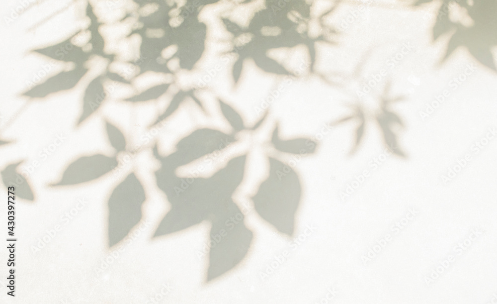 Leaf shadow and light on wall blur background. Nature tropical leaves plant and tree branch shade with sunlight on white wall texture Leaf shadow and light on wall blur background. Nature tropical leaves plant and tree branch shade with sunlight on white wall texture