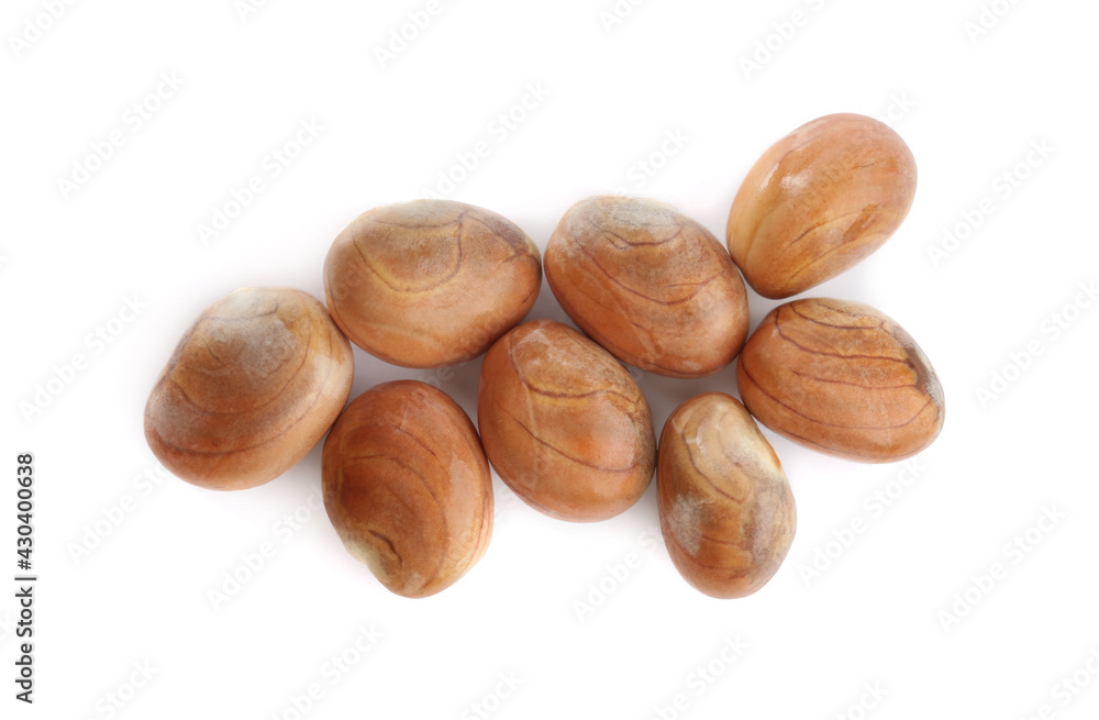 Fresh raw jackfruit seeds on white background, top view Fresh raw jackfruit seeds on white background, top view