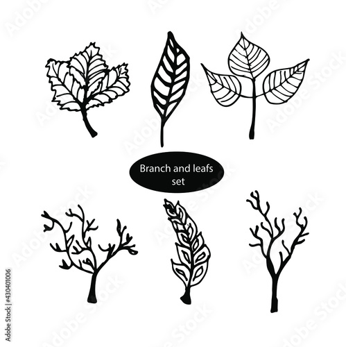 Botanic set vector isolated white and black vector icon branch, leafs, hand drawning, for floristic