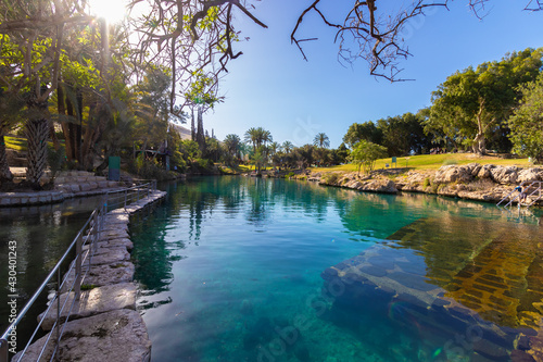 A huge pool of clear turquoise water, in Gan Hashlosha Park in the Beit She'an Valley photo