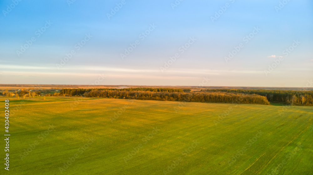 Green plowed agricultural field at sunset early spring. Green plowed agricultural field at sunset early spring.