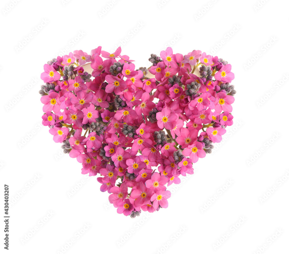 Heart made with beautiful Forget-me-not flowers isolated on white Heart made with beautiful Forget-me-not flowers isolated on white