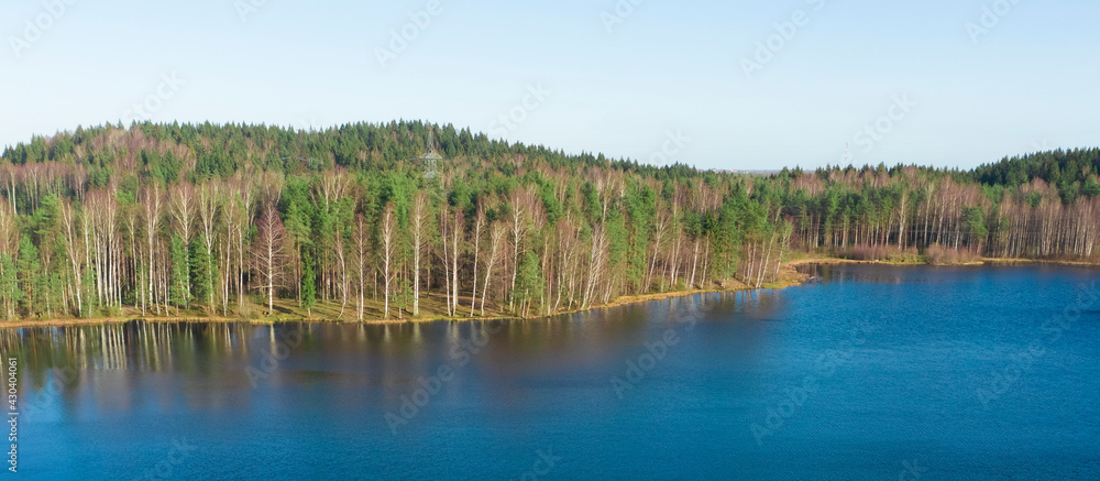 pine and fur tree forest by the lake, aerial view in spring time
