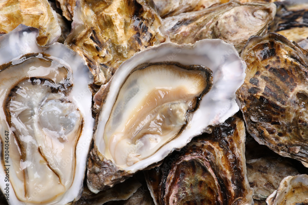 Fresh raw oysters as background, top view