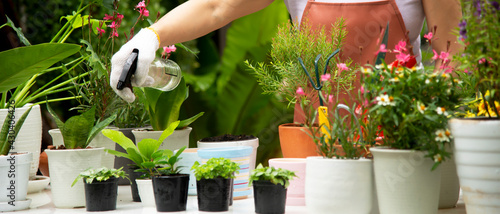 Close up on hands woman in glove  planting in garden at home