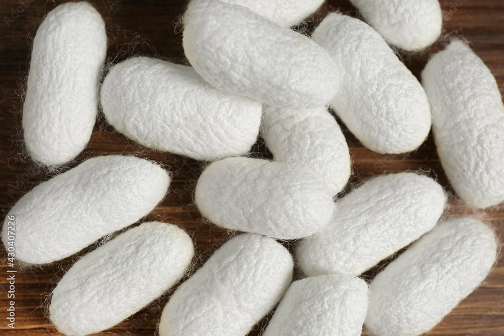 Heap of white silk cocoons on wooden table, flat lay Heap of white silk cocoons on wooden table, flat lay