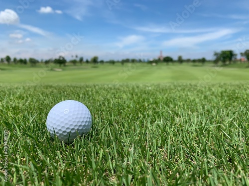 Golf ball on the green for golf course concept