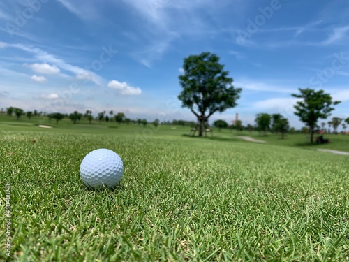 Golf ball on the green for golf course concept