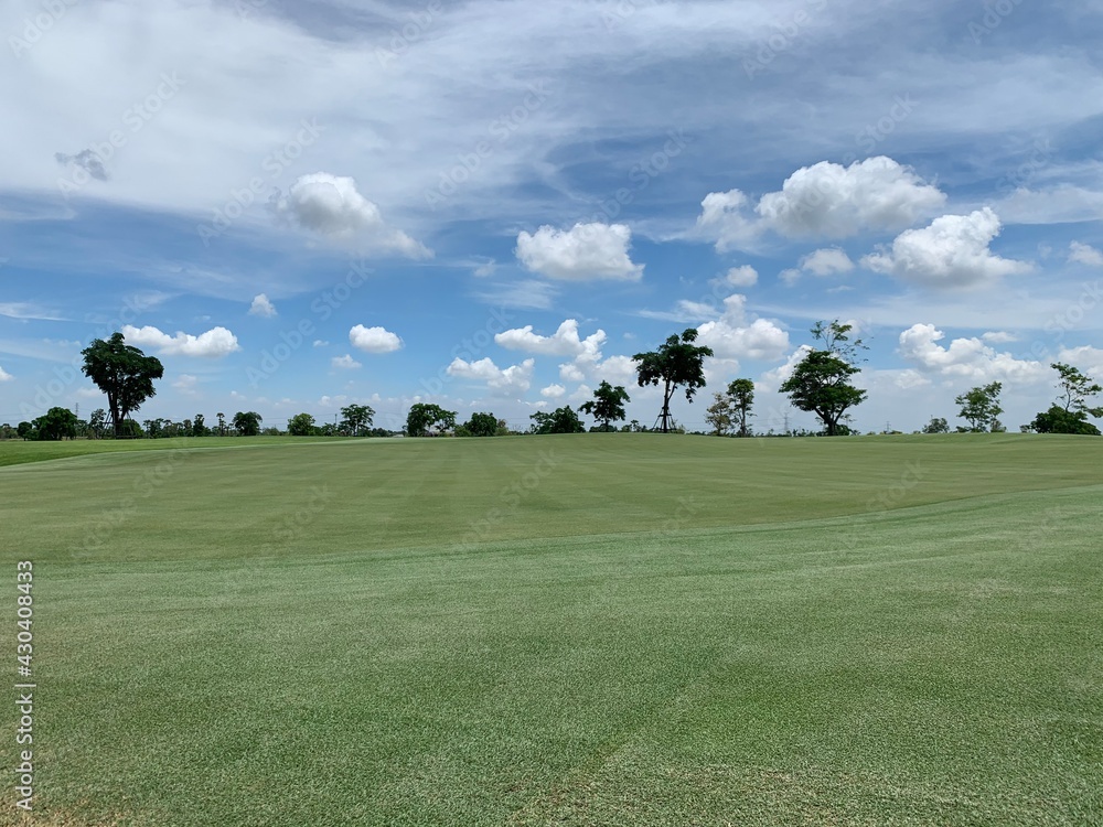 Golf ball on the green for golf course concept