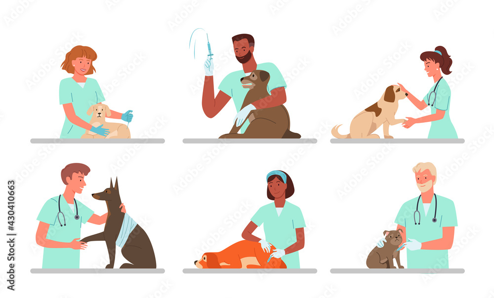 Patient dogs appointments at veterinary clinic, vet doctor working, holding sad doggy Patient dogs appointments at veterinary clinic, vet doctor working, holding sad doggy