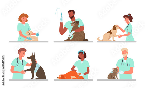 Patient dogs appointments at veterinary clinic, vet doctor working, holding sad doggy