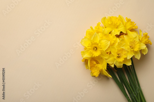 Beautiful daffodil bouquet on beige background, top view. Space for text