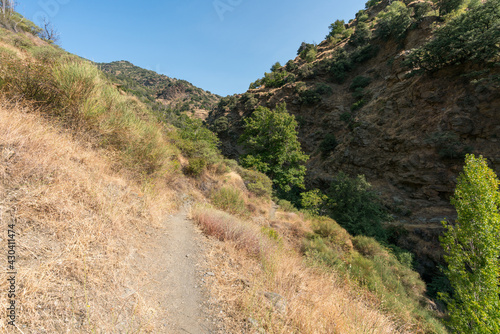 pedestrian path on the side of a Sierra Nevada mountain