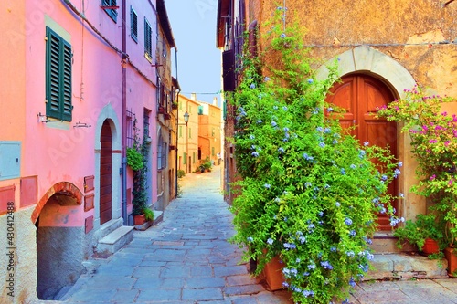 alley in the medieval village of Castagneto Carducci in Tuscany Italy, where the poet Giosuè Carducci lived photo