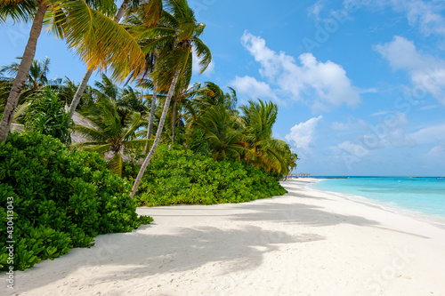 Quiet and shaded tropical island beach in Maldives