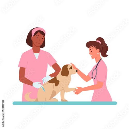Patient dog appointments at veterinary clinic vector illustration Cartoon vet doctor women character in pink medical uniform working, holding dog domestic pet animal isolated on white.