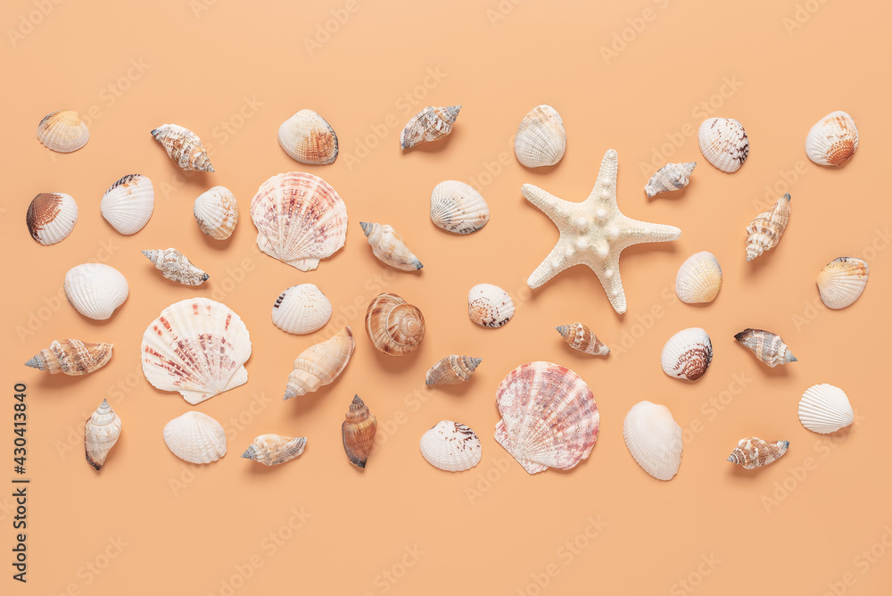 Collection of seashells and starfish on a pastel peach background. Beautiful summer beach composition. Top view, flat lay. Collection of seashells and starfish on a pastel peach background. Beautiful summer beach composition. Top view, flat lay.