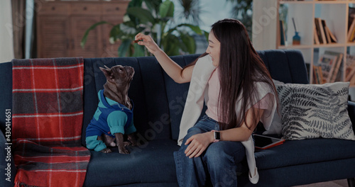 Young asian attractive joyful woman training her pet, giving dog snack to little adorable puppy playing together inside living room apartment.