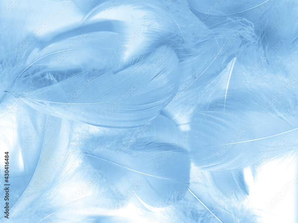 Light Blue Feathers