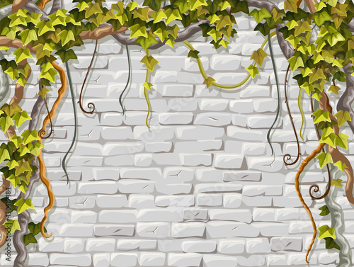 Wall, branches liana, ivy. Brickwork and plants jungle. Old shabby house facade painted white stucco. Vector isolated illustration.