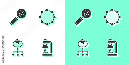 Set Test tube flask on fire, Microorganisms under magnifier, Genetically modified food and Chemical formula icon. Vector